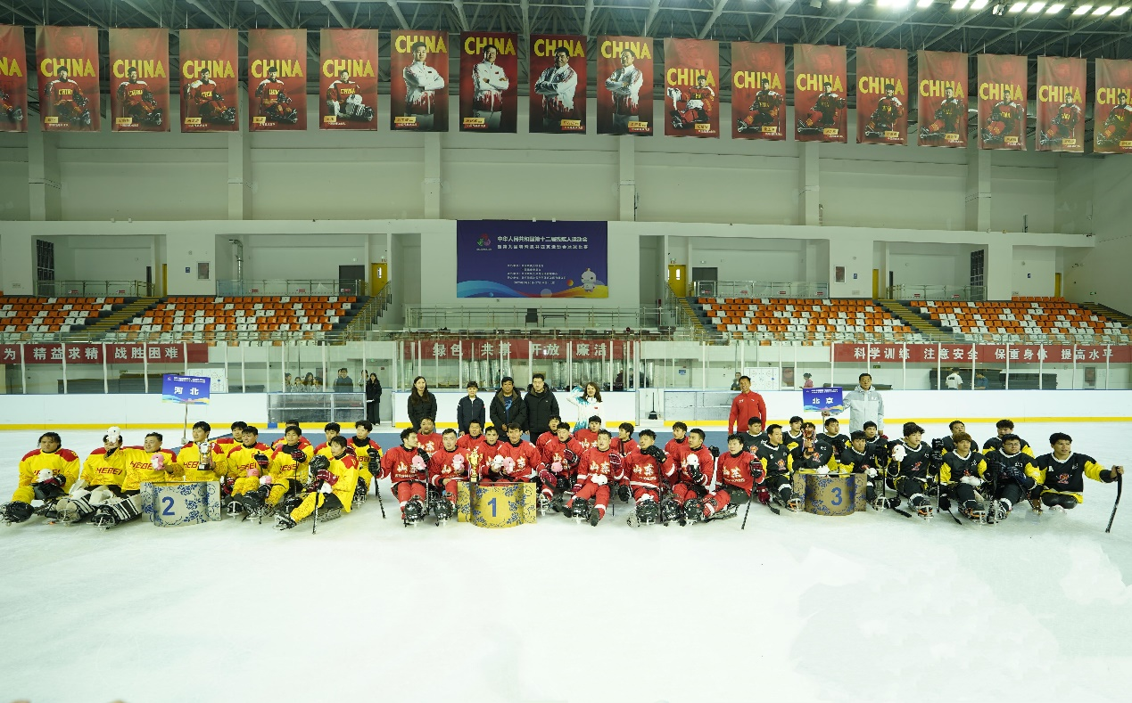 一層一進新中式前后院平面方案